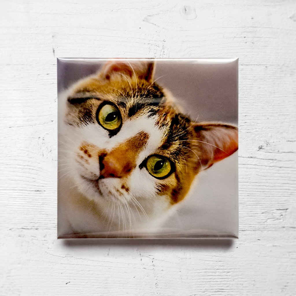 Magnete personalizzato - Produzione in serie